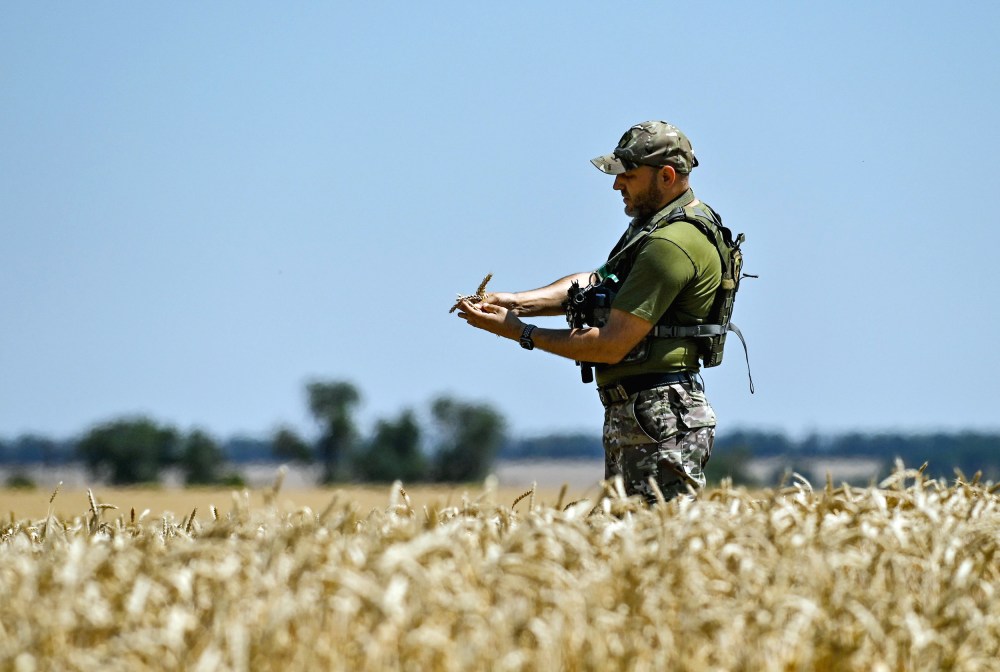 Harvesting crops in Zaporizhzhia Region