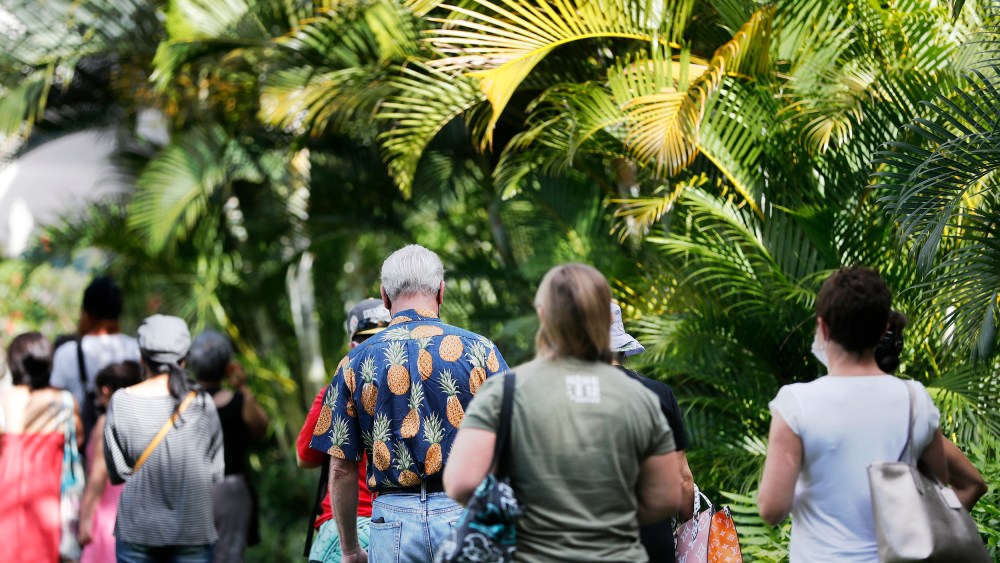 People line up to vote on Election Day on Nov. 3, 2020, in Honolulu, Hawaii.