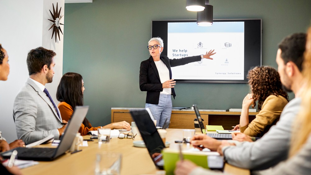 Senior professional giving presentation in meeting