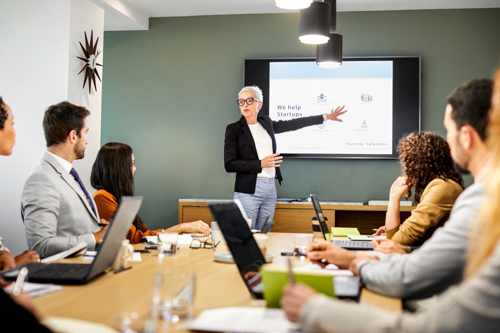 Senior professional giving presentation in meeting