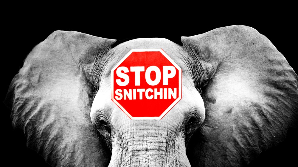 Photo illustration: An elephant head with a red sign that reads,"Stop snitchin".