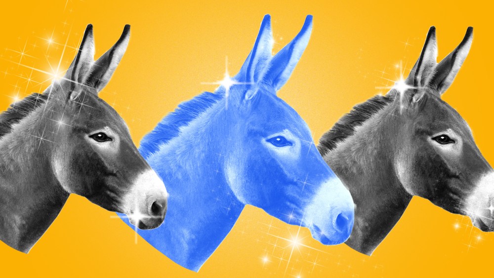 Photo illustration: Three donkey heads looking ahead with sparkle dust around them.