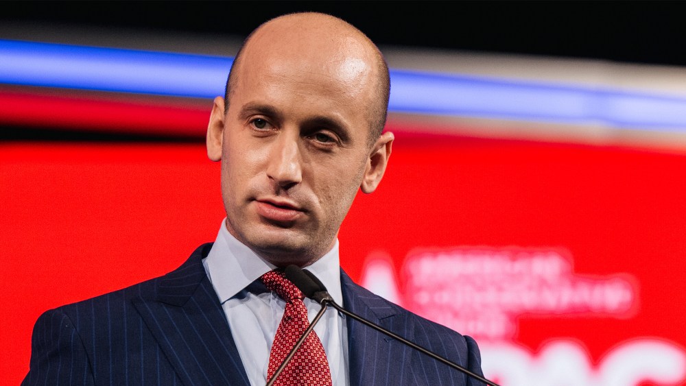 Image: Stephen Miller