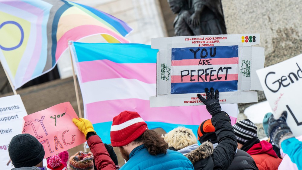 Image: People holding transgender pride flags and banners.