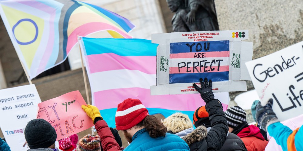Image: People holding transgender pride flags and banners.