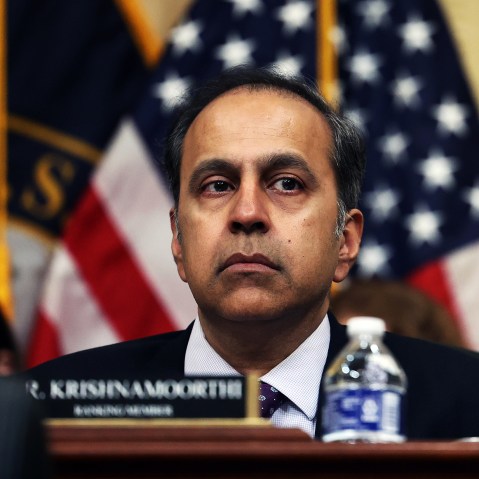Raja Krishnamoorthi
