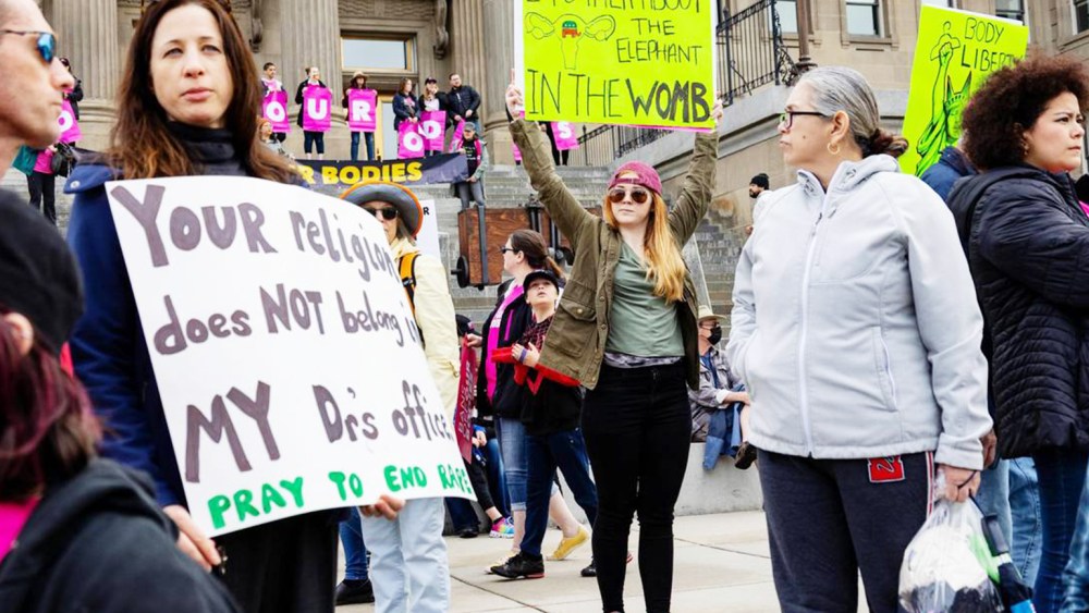 A woman holds up a sign that reads, "Let's talk about the elephant in the womb."