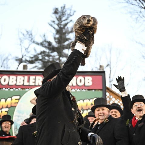 Punxsutawney Phil saw his shadow at a Groundhog Day celebration at the Gobbler's Knob in Punxsutawney, Pennsylvania,  on February 2, 2023.