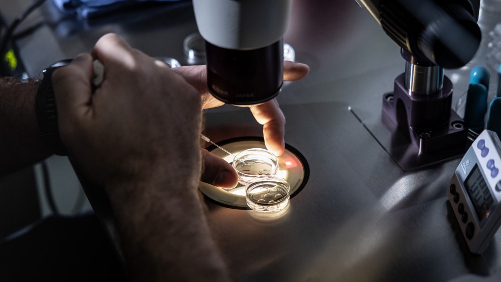 An embryologist adds media to petri dishes containing embryos, before freezing the embryos, in Fountain Valley, Calif.