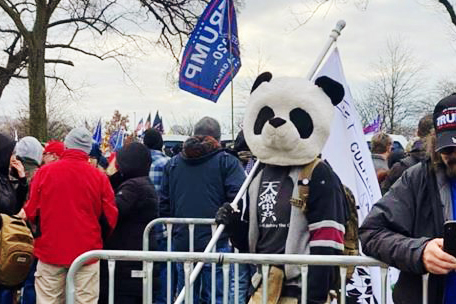 Jesse James Rumson wears a panda headpiece in Washington on Jan. 6, 2021.
