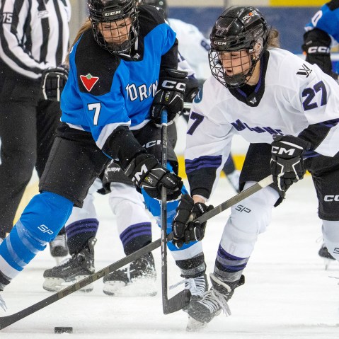 Image: women's hockey league Professional Women’s Hockey League (PWHL)