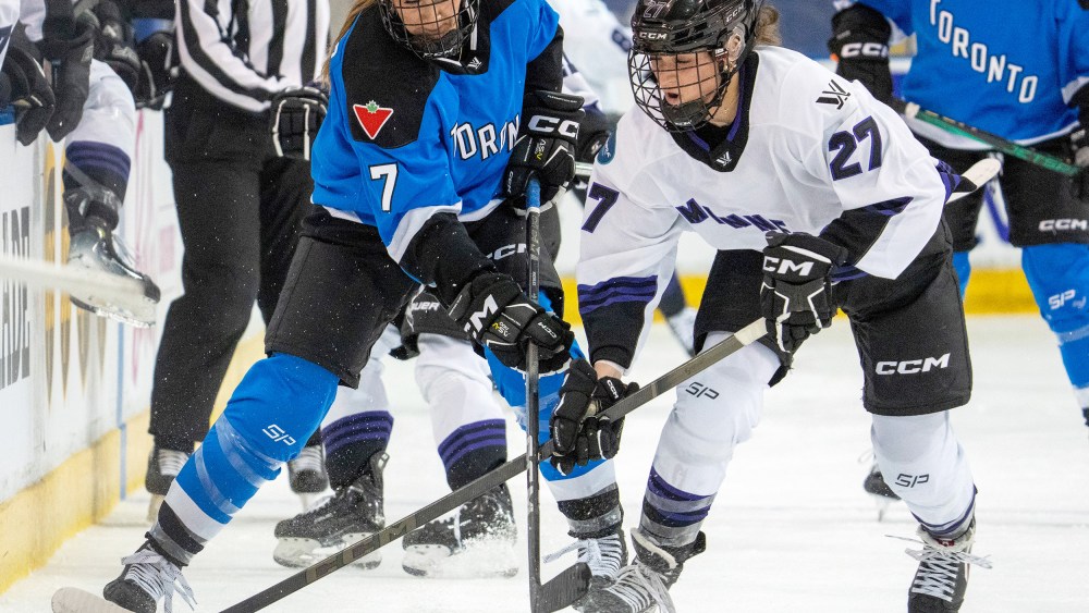 Image: women's hockey league Professional Women’s Hockey League (PWHL)