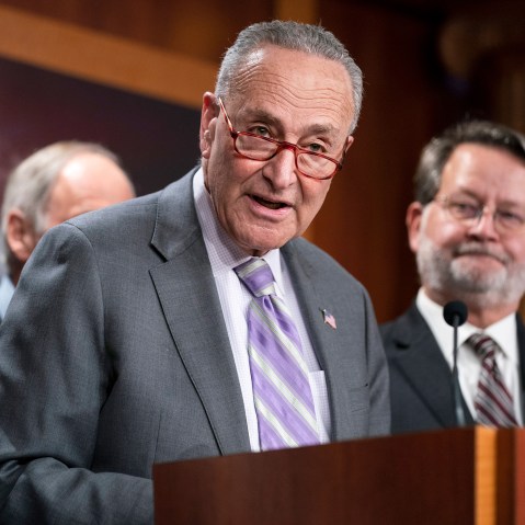 Chuck Schumer, Gary Peters politics political politicians