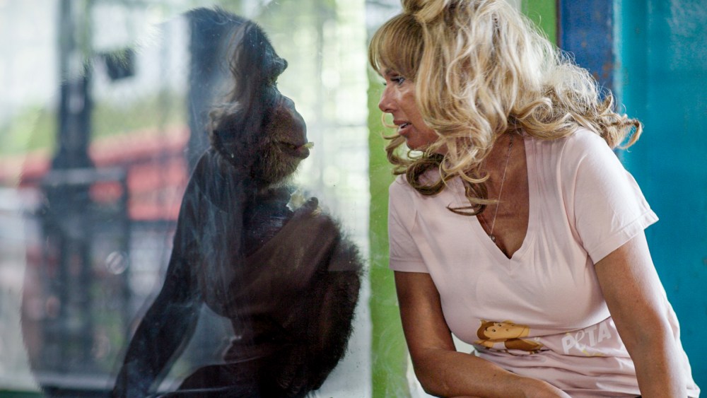 Tonka and Tonia Haddix in 'Chimp Crazy.'
