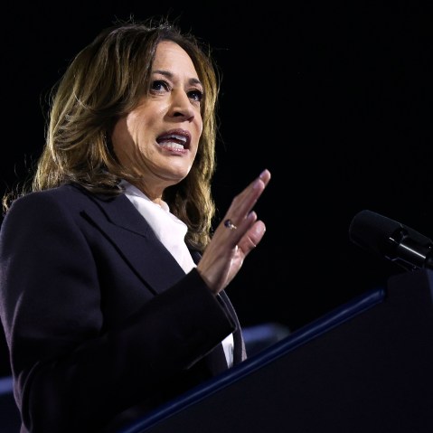 Image: Kamala Harris Speaks On The Ellipse In Washington, D.C. One Week Ahead Of Presidential Election politics political politician
