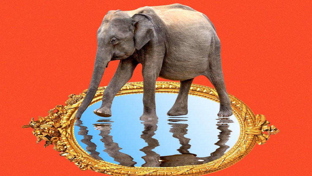 Photo illustration of elephant looking at its own reflection