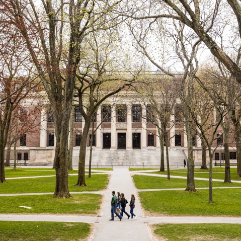 Harvard.