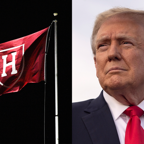 harvard crimson flag donald trump politics political politician