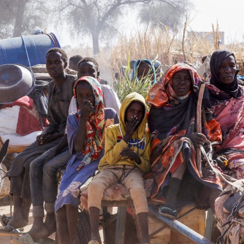 people ride in an animal-drawn cart