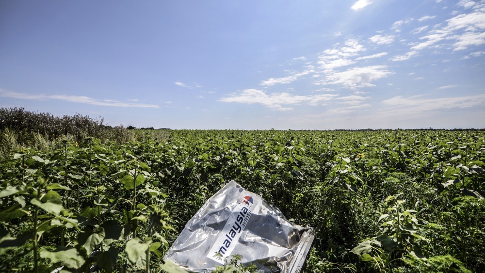 A piece of wreckage of the Malaysia Airlines flight MH17 is pictured in a field near the village of Grabove, in the region of Donetsk, Ukraine on July 20, 2014.