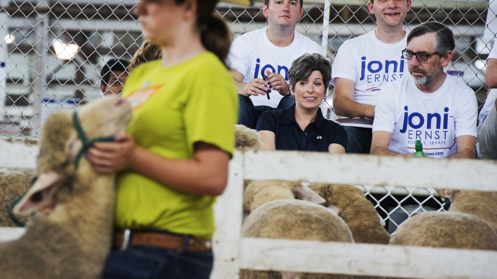 Joni Ernst, Iowa Republican Senate candidate, attends a sheep judging at the 2014 Iowa State Fair in Des Moines, Iowa, on Aug. 8, 2014.