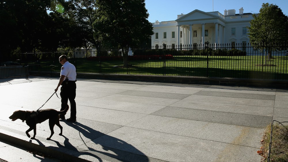 A member of the US Secret Service and his service dog patrol the sidewalk in front of the White House, Sept. 22, 2014 in Washington, D.C. (Photo by Mark Wilson/Getty)
