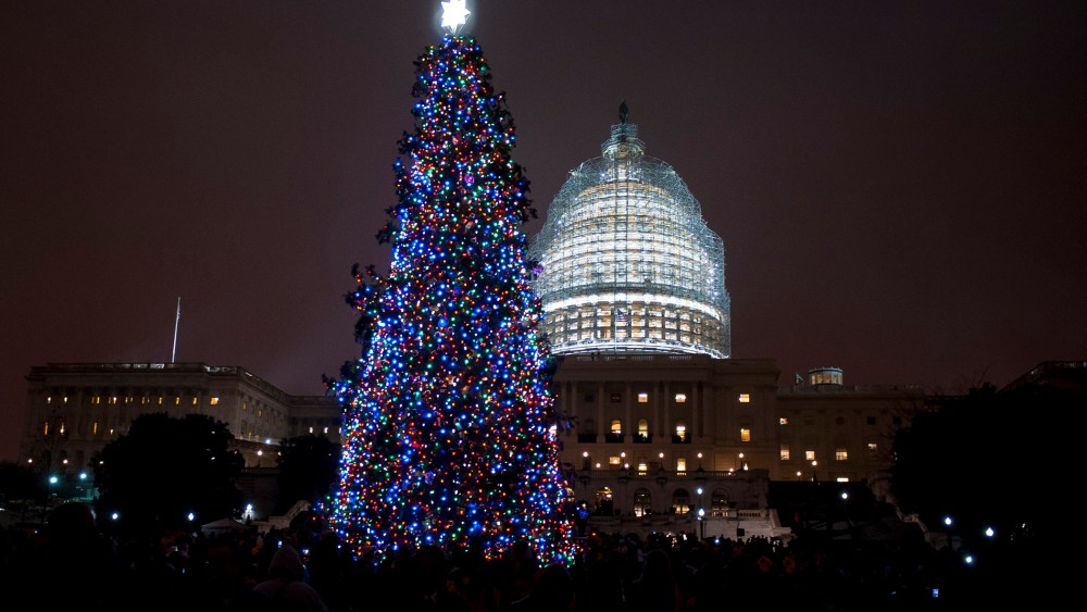 The Capitol Christmas Tree is lit in front of the U.S. Capitol on Dec. 2, 2014 in Washington, D.C. (Photo by Pete Marovich/Getty)