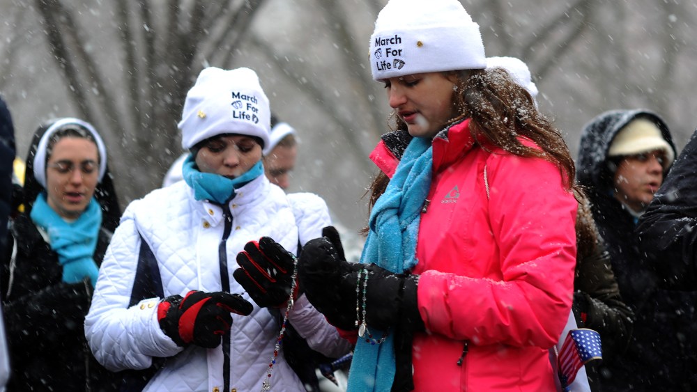 Pro-life activists protest in front of the White House, Jan. 21, 2014.