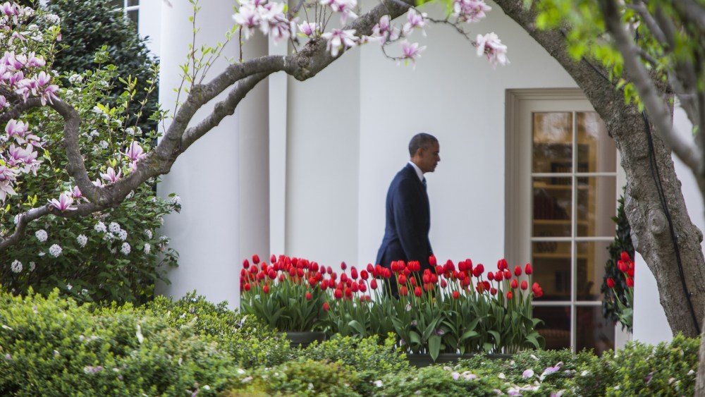 President Obama walks to the Oval Office after arriving at the White House on Marine one after his trip to North Carolina in Washington, April 15, 2015. (Photo by Samuel Corum/Anadolu Agency/Getty)
