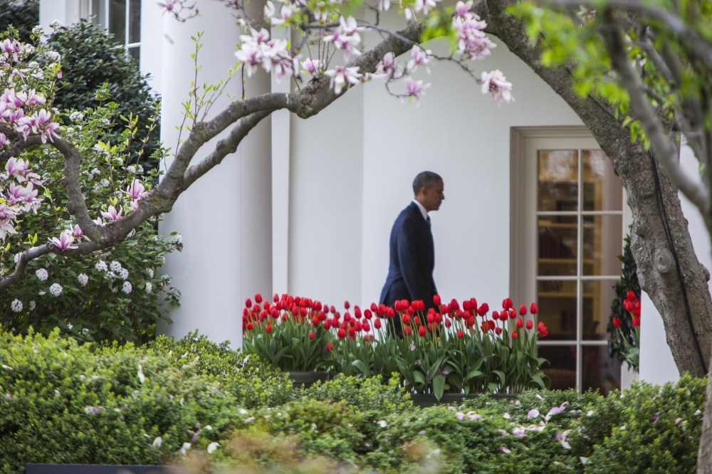 President Obama walks to the Oval Office after arriving at the White House on Marine one after his trip to North Carolina in Washington, April 15, 2015. (Photo by Samuel Corum/Anadolu Agency/Getty)