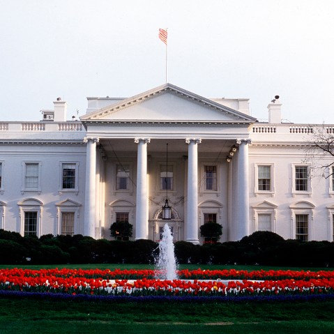 The White House in Washington, D.C. in 1993.