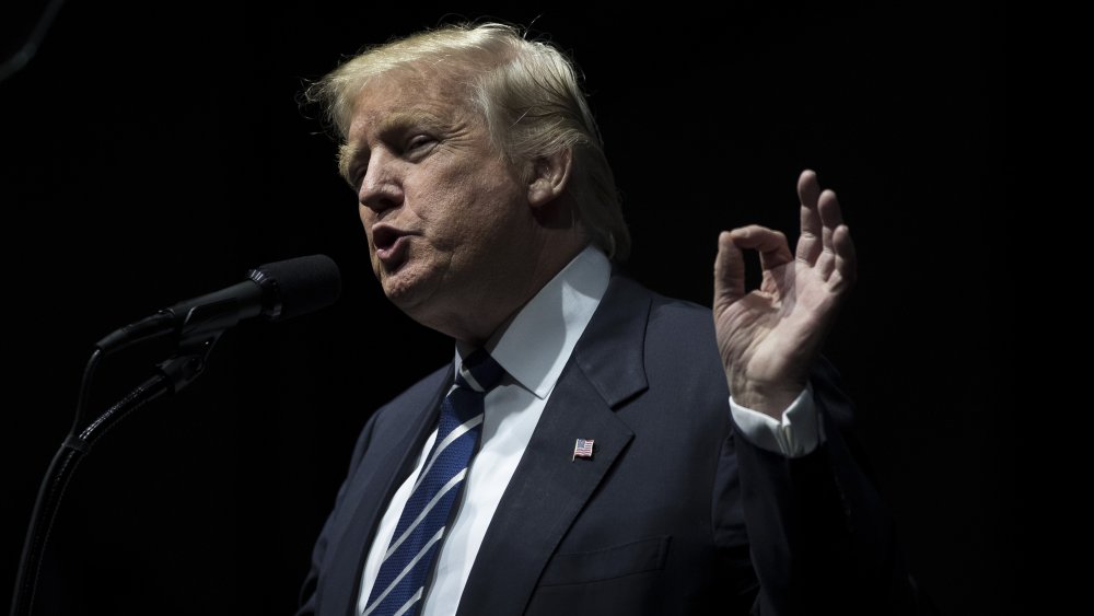 Image: President Elect Trump Continues His "Thank You Tour" In Grand Rapids, Michigan