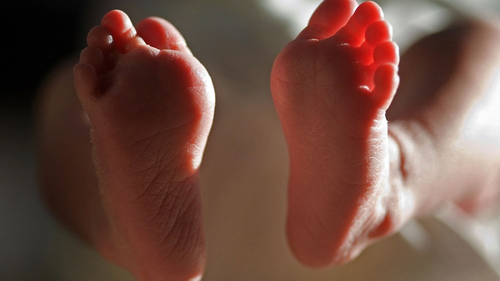 A newborn baby.
