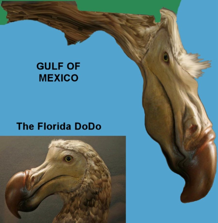 MaddowBlog readers' psyches exposed! Florida Rorschach results!