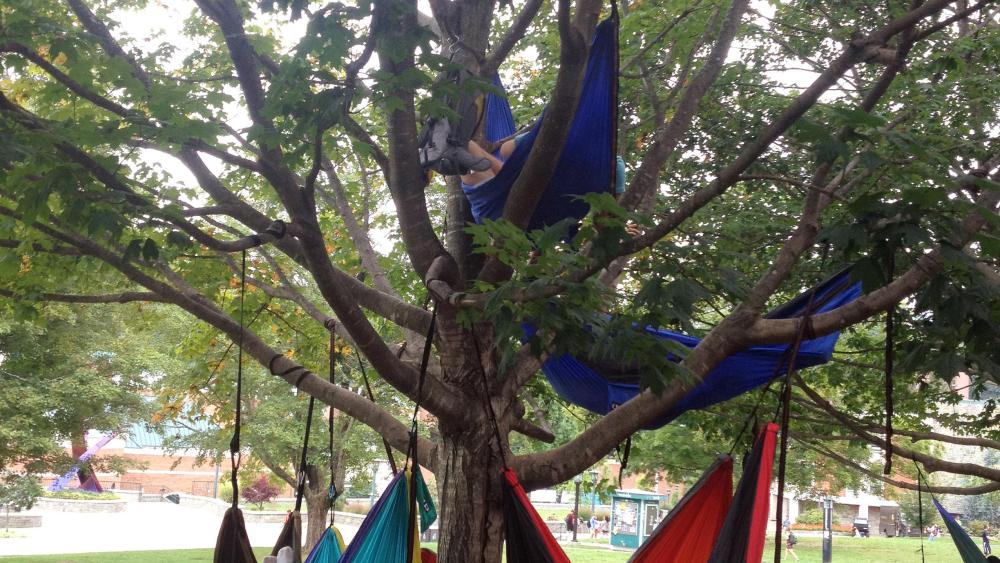 They call it 'hammocking'