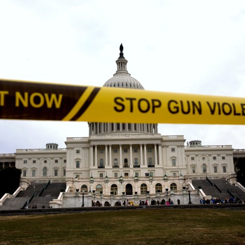Gun control activists demonstrate outside of the Capitol in Washington D.C., March 11, 2014.