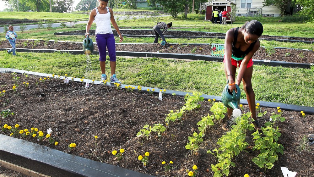 Armani Jordon and Briana Davis water their plot at the Highland Community Garden in Gastonia, N.C., May 21, 2013.