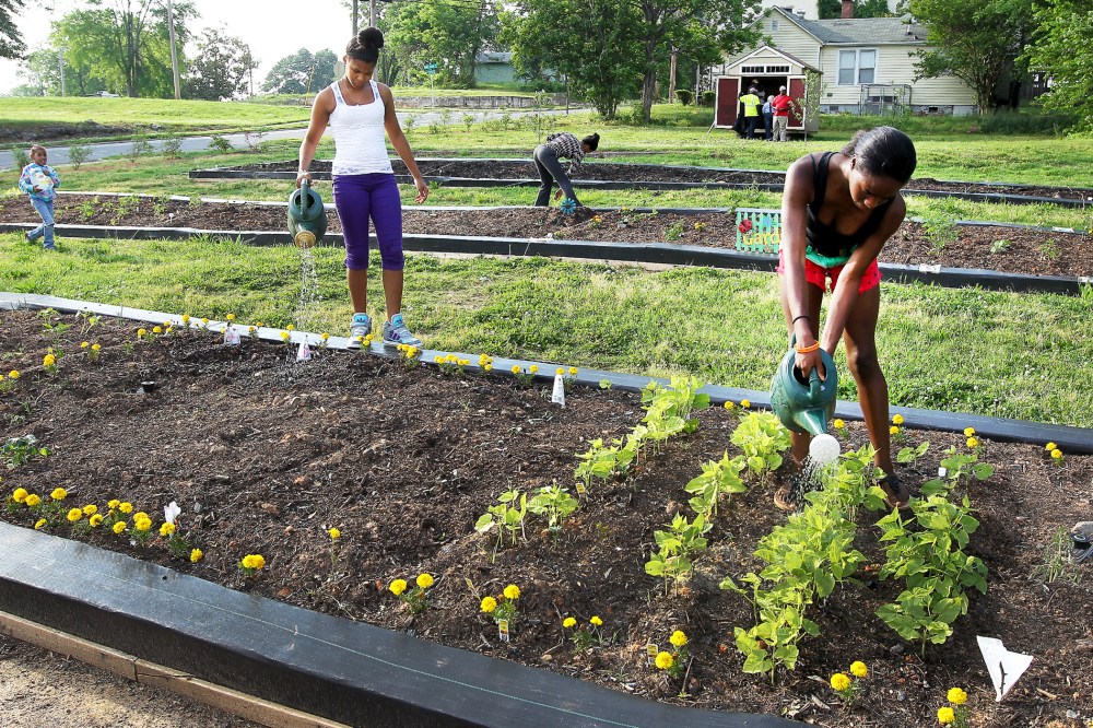 Armani Jordon and Briana Davis water their plot at the Highland Community Garden in Gastonia, N.C., May 21, 2013.