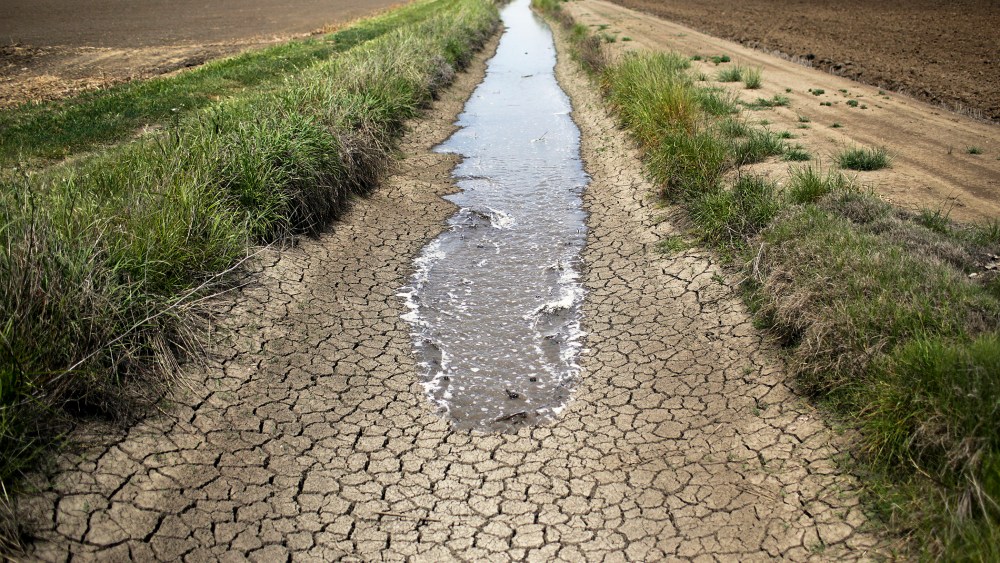 This May 1, 2014, file photo shows irrigation water runs along a dried-up ditch between rice farms in Richvale, Calif. (Photo by Jae C. Hong/AP)