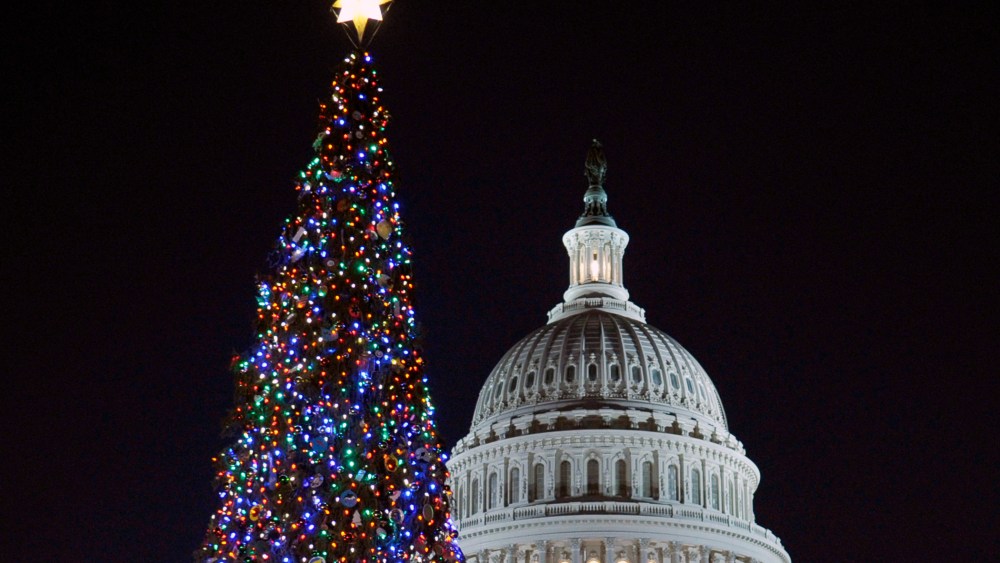 The 2013 U.S. Capitol Christmas Tree, Washington D.C.