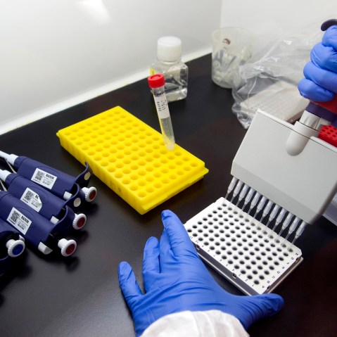 Alberto Cagigi, Ph.D, in the beginning of a multi-step process of identifying antibodies against Ebola in samples from vaccinated volunteers in Bethesda, Md., Feb. 4, 2015. (Photo by Cliff Owen/AP)