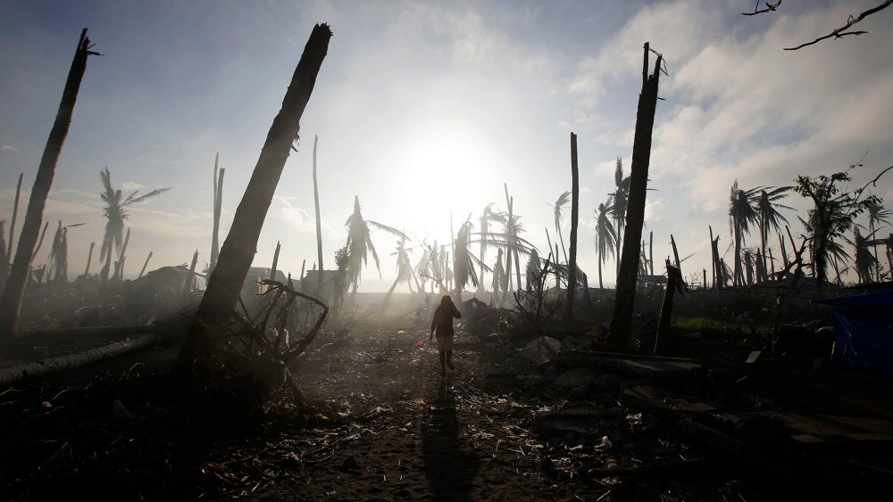 A typhoon survivor walks past damaged trees at typhoon-ravaged Tolosa town, Leyte province, central Philippines, Dec. 9, 2013.