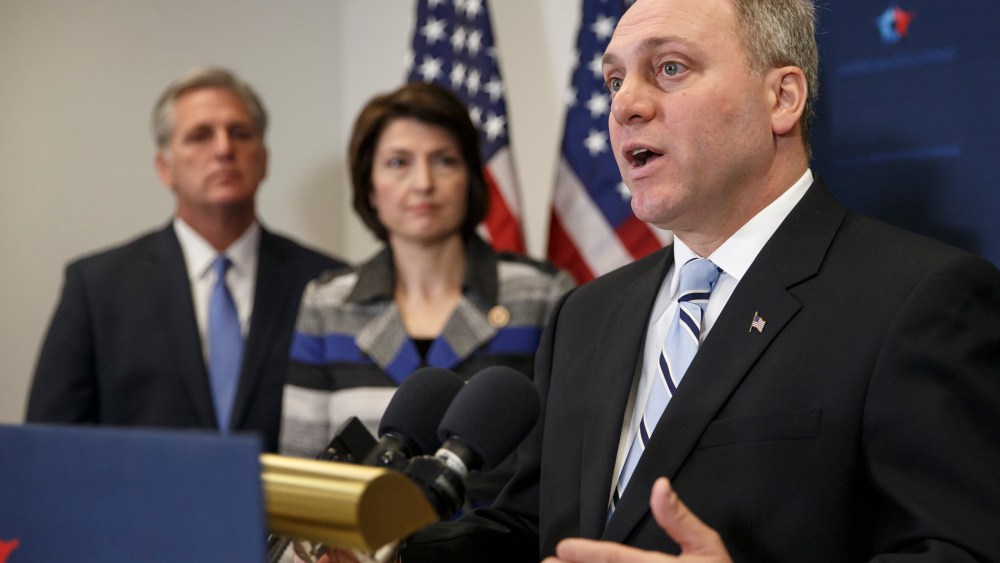 House Majority Whip Steve Scalise of La. speaks to reporters on Capitol Hill in Washington on Nov. 18, 2014. (J. Scott Applewhite/AP)