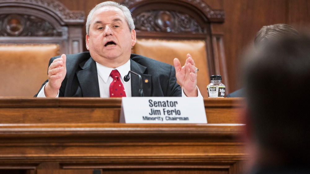 Senator Jim Ferlo speaks during a Senate Law and Justice Committee hearing, June 4, 2013.