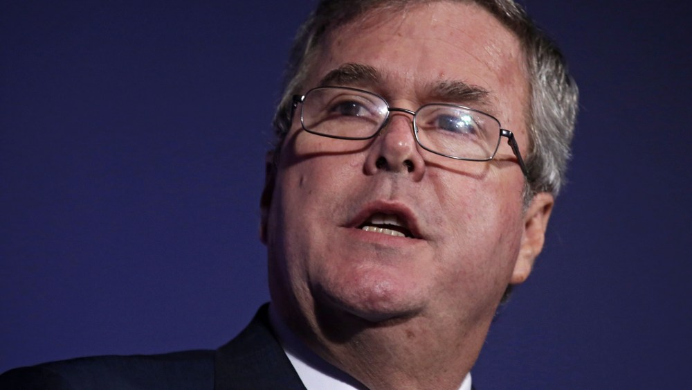 Jeb Bush