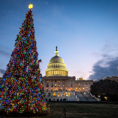 The Capitol Christmas tree is lit against the early morning sky, Dec. 4, 2013 in Washington.