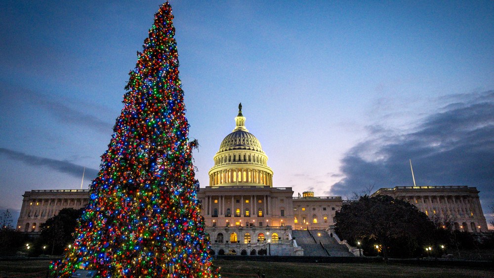 The Capitol Christmas tree is lit against the early morning sky, Dec. 4, 2013 in Washington.