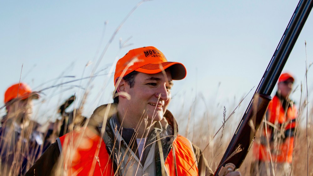 Sen. Ted Cruz, R-Texas, walks through tall grass during a pheasant hunt hosted by Rep. Steve King, R-Iowa, on Saturday, Oct. 26, 2013, in Akron, Iowa.