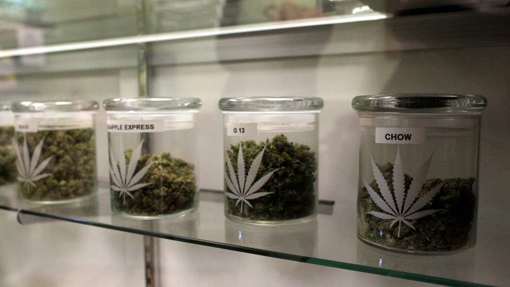 Closer Look Medical Marijuana