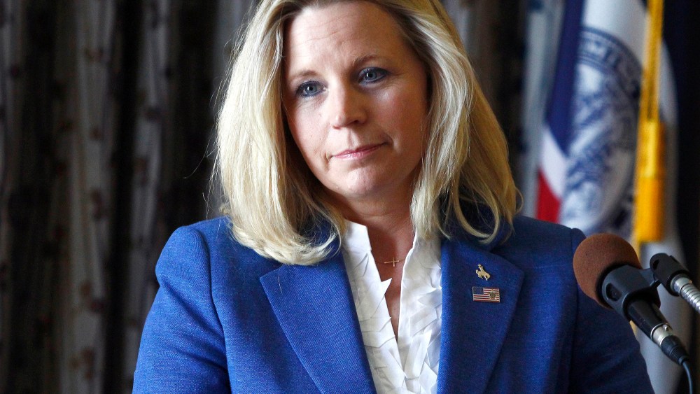 Liz Cheney speaks during a campaign appearance in Casper, Wyo. on July 17, 2013.